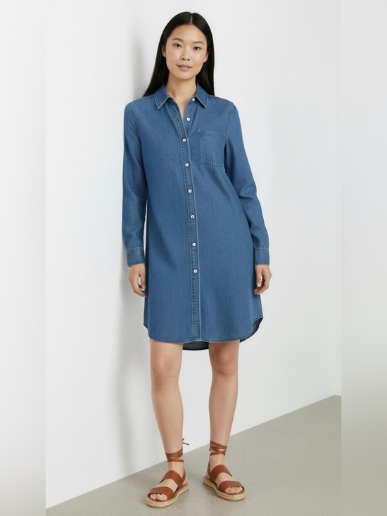 Grayson Dresses & Skirts - Grayson by frank & Eileen size 04(Large) chambray denim shirt dress casual